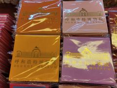 -呼和浩特博物馆