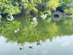 -棠湖公园