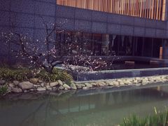 -田园东方蜜桃村的田野营地