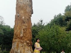 -汉水公园