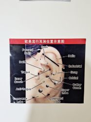 -AI艾耳·专业手工耳洞·穿孔美学馆