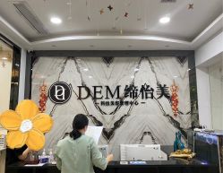 -DEM缔怡美科技美容