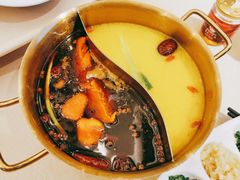 鸳鸯锅品-小天鹅火锅·一线江景洪鼎旗舰店(洪崖洞店)