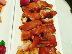 -南枝记