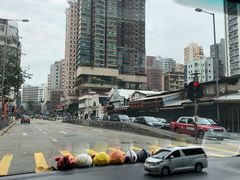 -油麻地果栏