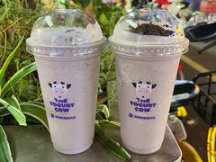 -一只酸奶牛(春熙路店)