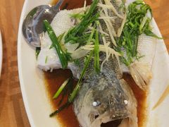 -新城餐厅(吉祥北街店)