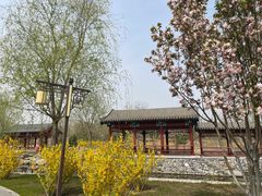 -张家湾公园
