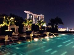 -新加坡文华东方酒店