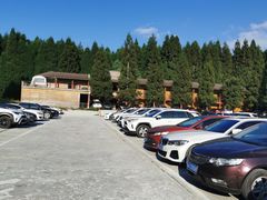 -武陵山森林公园