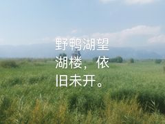 -野鸭湖国家湿地公园