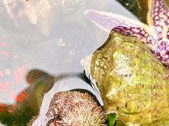 -石岛赤山风景区