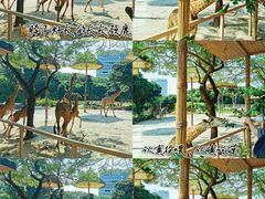 -深圳野生动物园