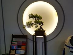 -席仁堂推拿按摩脊柱调理(世纪科贸大厦店)
