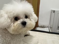 -乐琪宠物医院·犬猫专科·骨外科·急重症