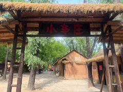 -滕州微山湖红荷湿地景区