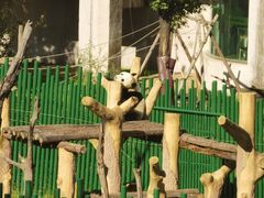 -沈阳森林动物园