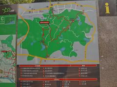 -火炉山森林公园