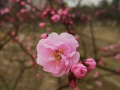 -南海子公园