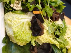 -懂羊帝·羊蝎子·北京菜(小关店)