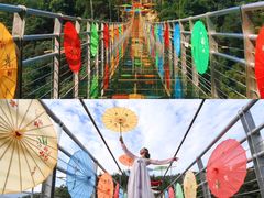 -九龙江国家森林公园