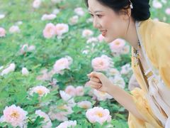 -洛阳市隋唐城遗址植物园