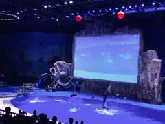 -华夏文旅海洋公园