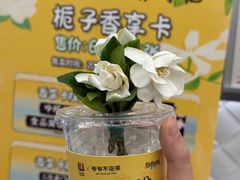 -巴公房子