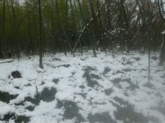 android_upload_pic-头陀岭景区