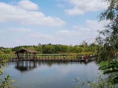 -溱湖国家湿地公园