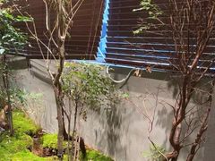 -森SPA·泰式按摩·精油Massage(宝安中心店)