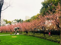 -静安雕塑公园