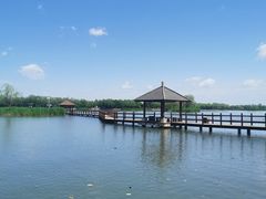 -白洋淀风景区