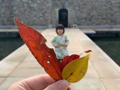 -武夷山德懋堂度假村·五观堂餐厅