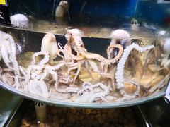 -蟹谢蒸鲜自助餐厅