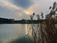 -美兰湖景区