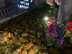 -新悦·霞浦海鲜生(上下杭店)