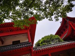 -会龙寺
