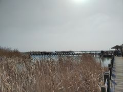 -苏州太湖湖滨国家湿地公园