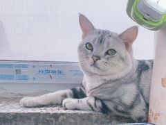 -宠颐生中康贝怡动物医院