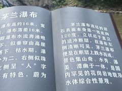-茅兰沟国家森林公园