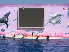 -北戴河圣蓝海洋公园