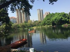 -晓港公园