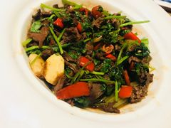 -广东道至正餐厅(区庄店)