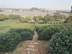 -树山生态村