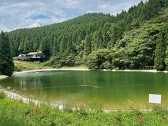 -武陵山森林公园