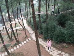 -梦幻奥陶纪景区