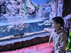 -南昌融创海世界