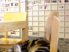 -猫的天空之城概念书店(苏州诚品店)