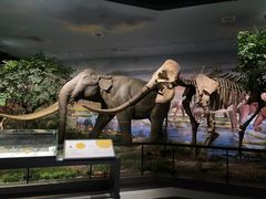 -湖南省地质博物馆